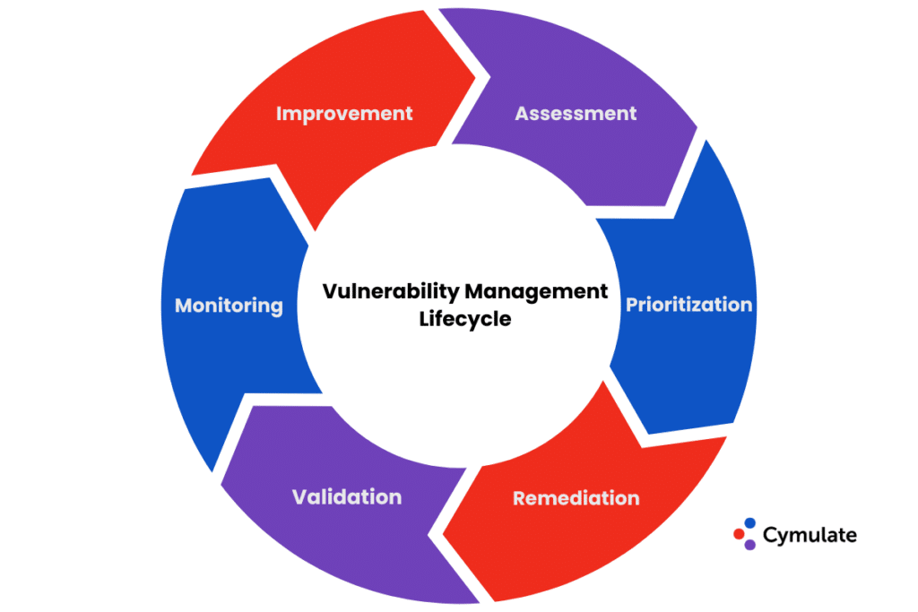 Vulnerability Management Lifecycle