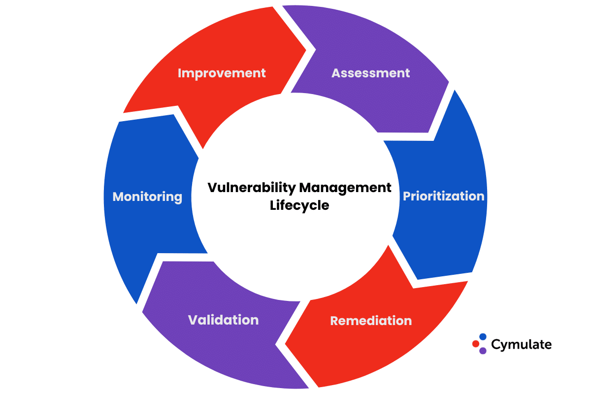 Vulnerability Management Lifecycle 