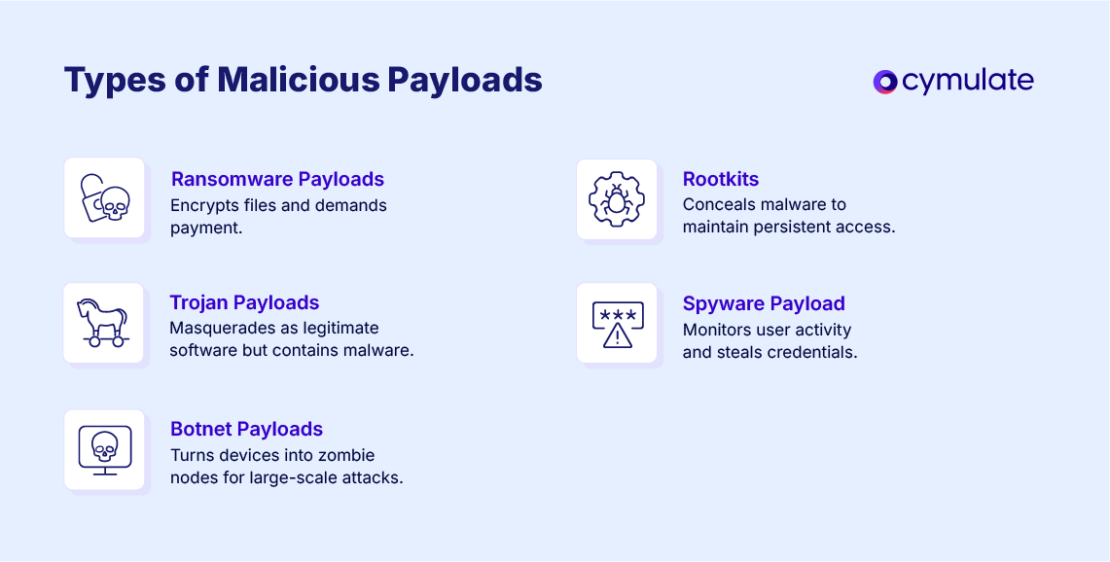 What is a Payload in Cybersecurity? Identification & Prevention