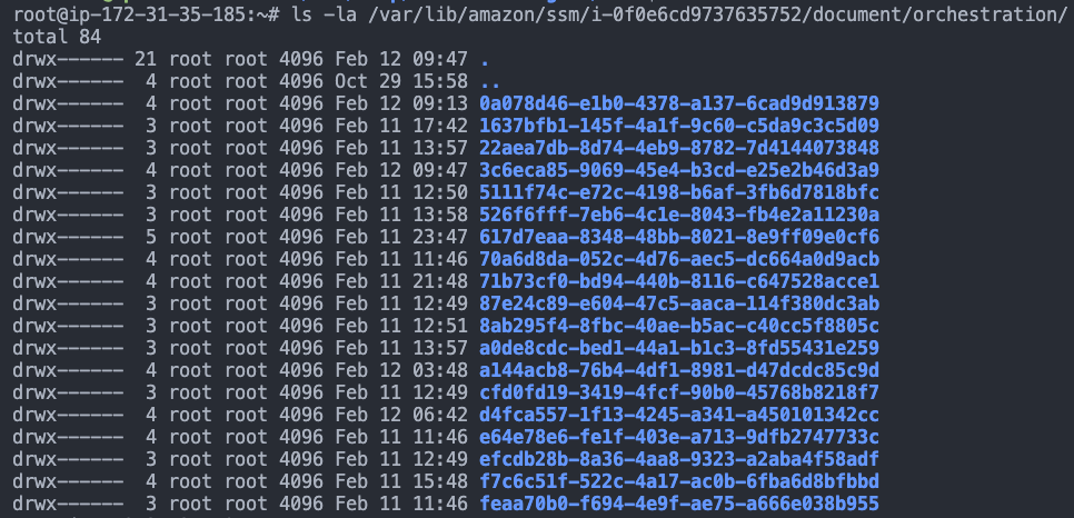 Path Traversal Vulnerability in AWS SSM Agent's Plugin ID Validation