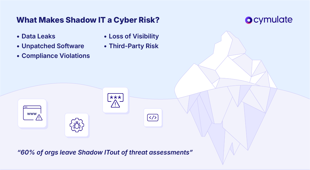 risks of shadow it
