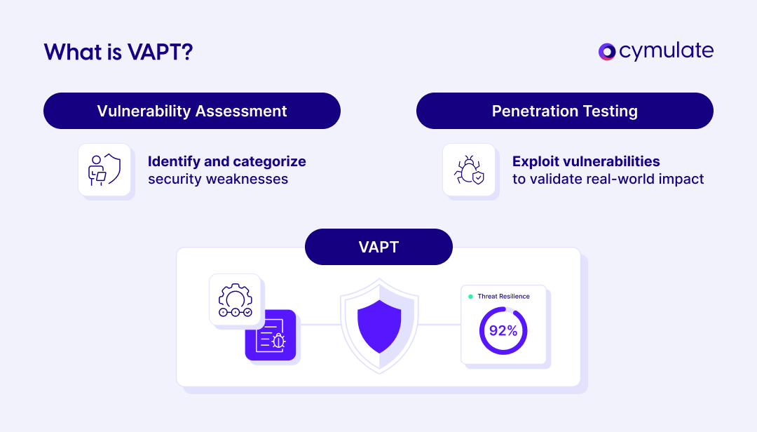 infographic explaining the definition of Vulnerability Assessment and Penetration Testing (VAPT)